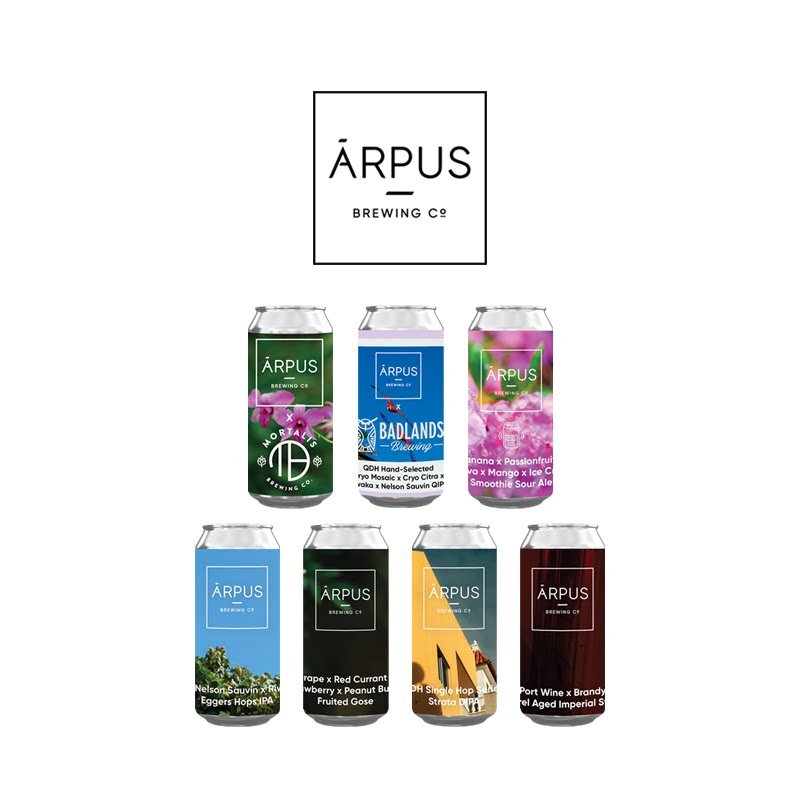 拉脱维亚 进口 ARPUS  啤酒
