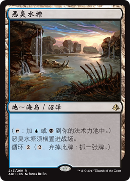 鸡腿菇卡牌 万智牌 MTG AKH 阿芒凯 简中 恶臭水塘Fetid Pools