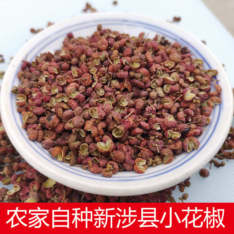 十里飘香太行山涉县小花椒农家自种麻香浓郁当地人最爱纯手工采摘