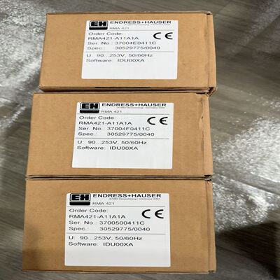 Endress+Hauser RMA421控制器，德