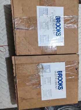 晶盛铸锭炉流量计5851E /B1A1B3B 布鲁克斯