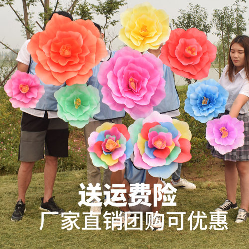 幼儿园舞蹈演出手拿花七彩牡丹花