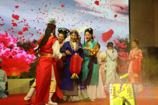 出租红楼梦贾母王夫人邢夫人同款服装富家员外夫人华夫人演出服装
