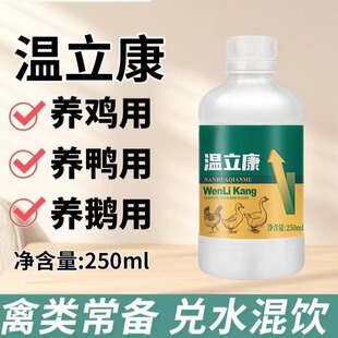 温立康鸡鸭鹅家禽鸽子呆立瞌睡精神沉郁羽毛松散无精打采禽用