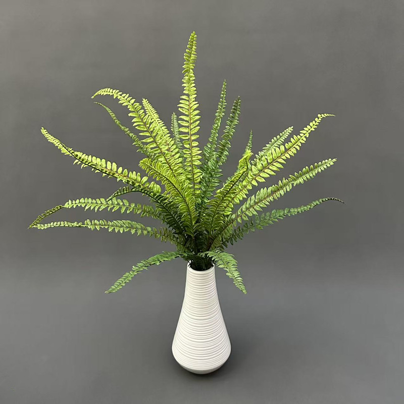 仿真绿植蕨类植物肾蕨