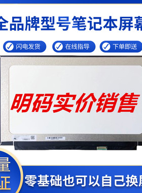 神舟优雅  T6 A460-I3 -I5 A400 A420 A480 A460P T6-C 液晶屏幕