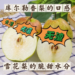 [黄陵翡翠梨]正宗陕西黄陵非玉露香新鲜水果皮汁多无渣脆甜精品装