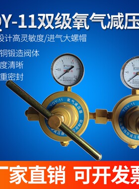 YQY-11双级氧气减压器氮气氢气YQC-11二氧化碳减压器YQJ-11管路