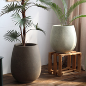 仿陶罐镁泥花盆鸭脚木十大功劳花器服装 店酒吧咖啡馆复古做旧北欧