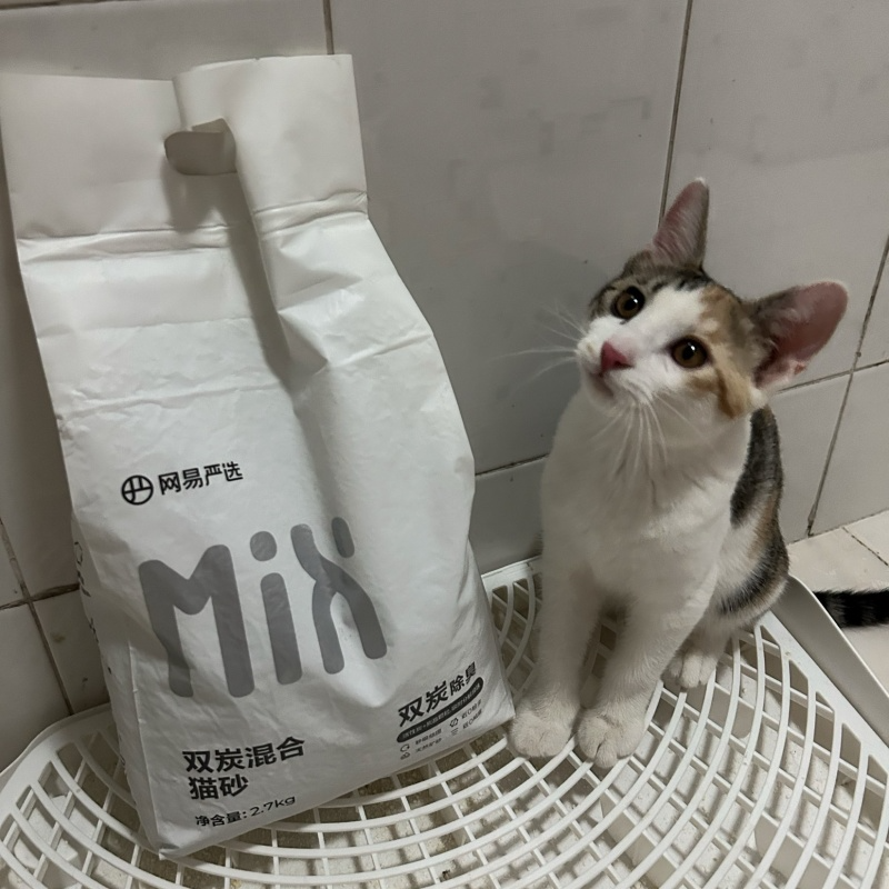 网易严选双炭混合猫砂2.7kg猫砂