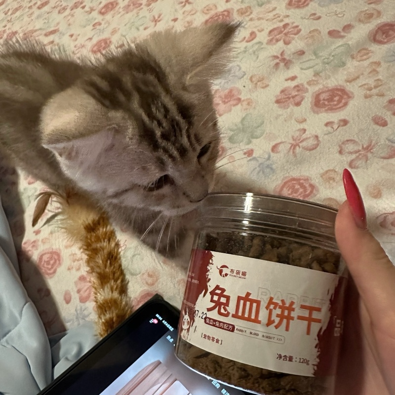 猫咪零食兔血饼干成幼猫磨牙血鱼油猫饼干猫狗零食