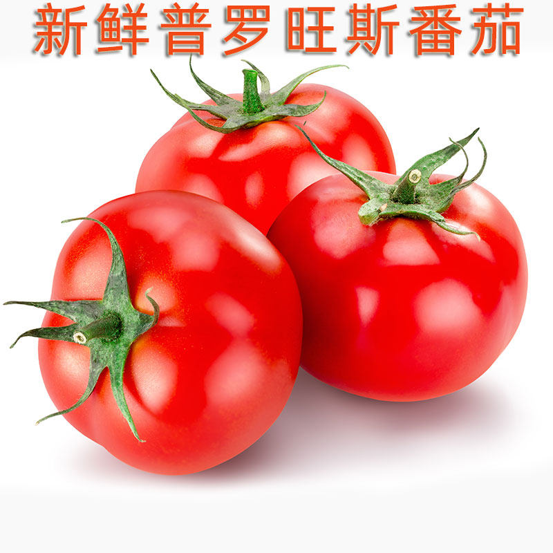 新鲜普罗旺斯番茄西红柿子Tomato烧汤炒鸡蛋凉拌生食 口感沙面