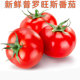 新鲜普罗旺斯番茄西红柿子Tomato烧汤炒鸡蛋凉拌生食 口感沙面