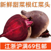 新鲜甜菜根1000g两斤甜菜头beetroot 红菜头凉拌榨汁浓汤西餐配菜