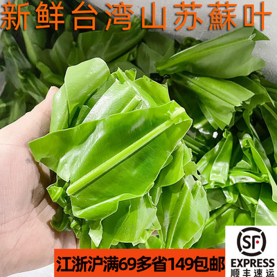 台湾乡间美食山苏蔬菜