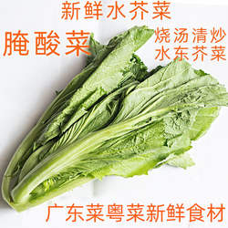 新鲜水芥菜500g 清炒爽脆可口腌制酸菜咸菜 水东芥菜盖菜青菜蔬菜