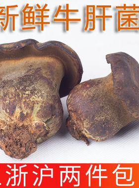 煲汤新鲜云南黑牛肝菌特产食用