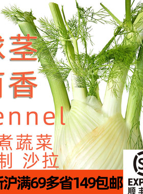 球茎茴香头新鲜500g茴香根 西餐食材香料 餐饮炒菜 烧烤增香