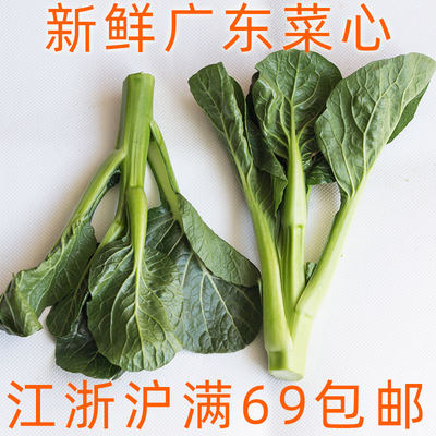 新鲜广东菜心500g 菜薹青菜 非小芥兰 可白灼清炒 广东菜粤菜食材