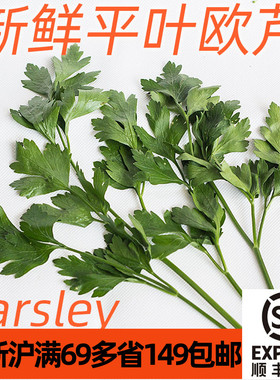 新鲜意大利芹 平叶欧芹 parsley 西餐配菜香料沙拉凉拌食材