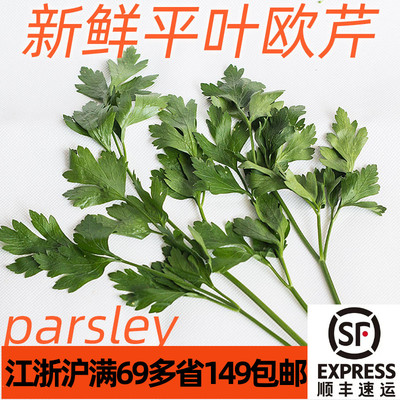 新鲜意大利芹 平叶欧芹 parsley 西餐配菜香料沙拉凉拌食材