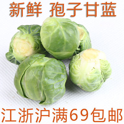 新鲜蔬菜食用孢子甘蓝小甘蓝迷你卷心菜 brussel sprouts烤制水煮