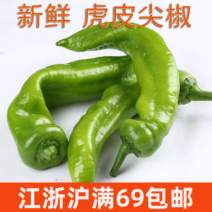 新鲜食用虎皮尖椒500g 青辣椒青椒Peppers 微辣 家常蔬菜青菜