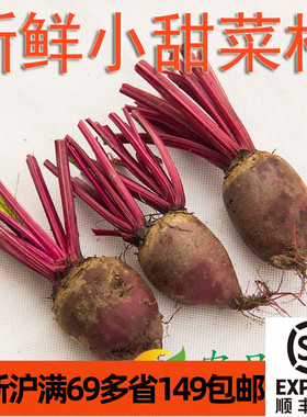 新鲜小红菜头甜菜头500g 甜菜根 mini beetroot 江浙沪满69包邮