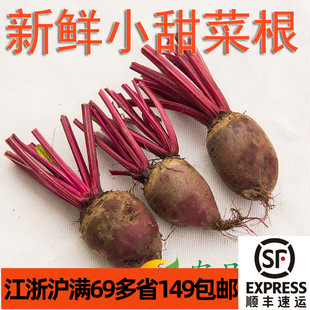 新鲜小红菜头甜菜头500g 甜菜根 mini beetroot 江浙沪满69包邮
