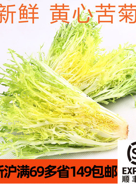 新鲜黄心苦菊500g 苦叶苦菊生菜Chicory 西餐沙拉蔬菜食材