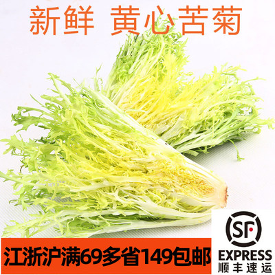 新鲜黄心苦菊西餐沙拉蔬菜