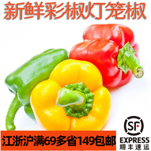 新鲜蔬菜红黄绿彩椒500g 甜椒菜椒 沙拉圆椒 江浙沪满69包邮