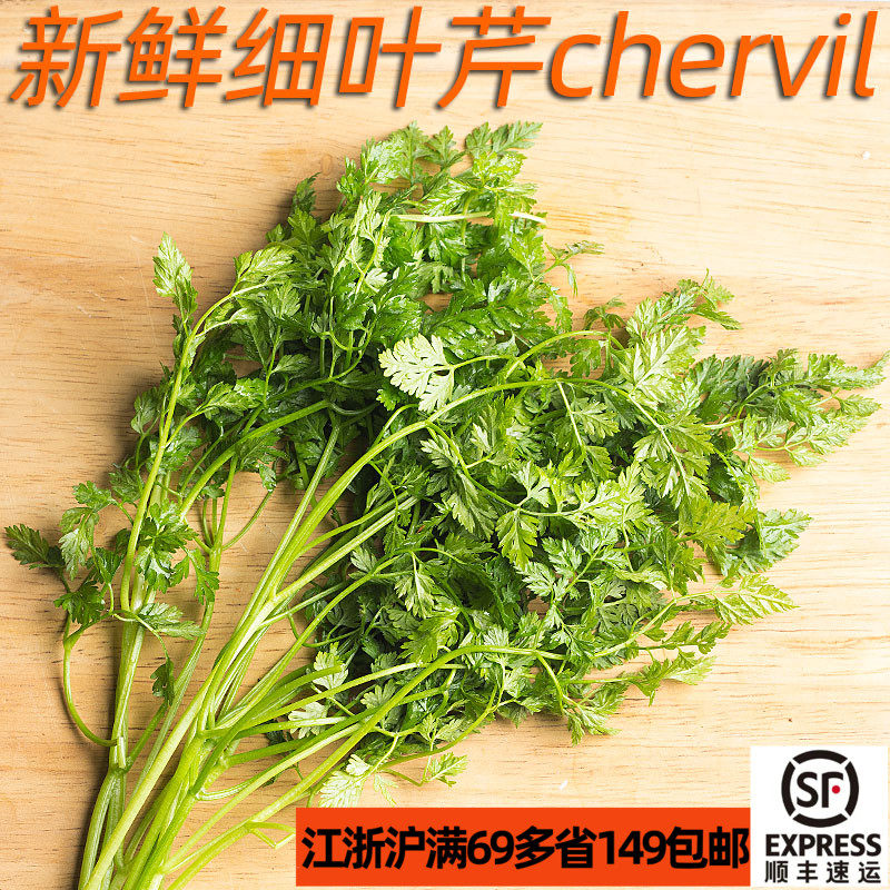 新鲜细叶芹100g 车窝草 chervil 西餐法餐香草香料食材 淡茴香味