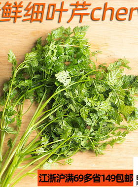 新鲜细叶芹100g 车窝草 chervil 西餐法餐香草香料食材 淡茴香味