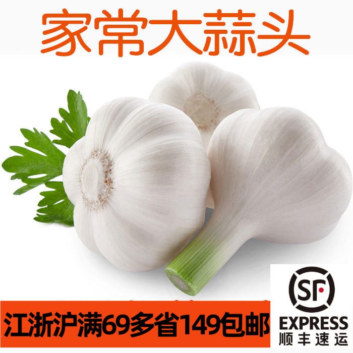 新鲜干大蒜头250g半斤 3-4颗 干皮大蒜头Garlic 家常食材蔬菜调料