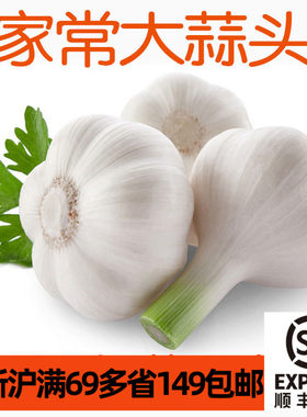 新鲜干大蒜头250g半斤 3-4颗 干皮大蒜头Garlic 家常食材蔬菜调料