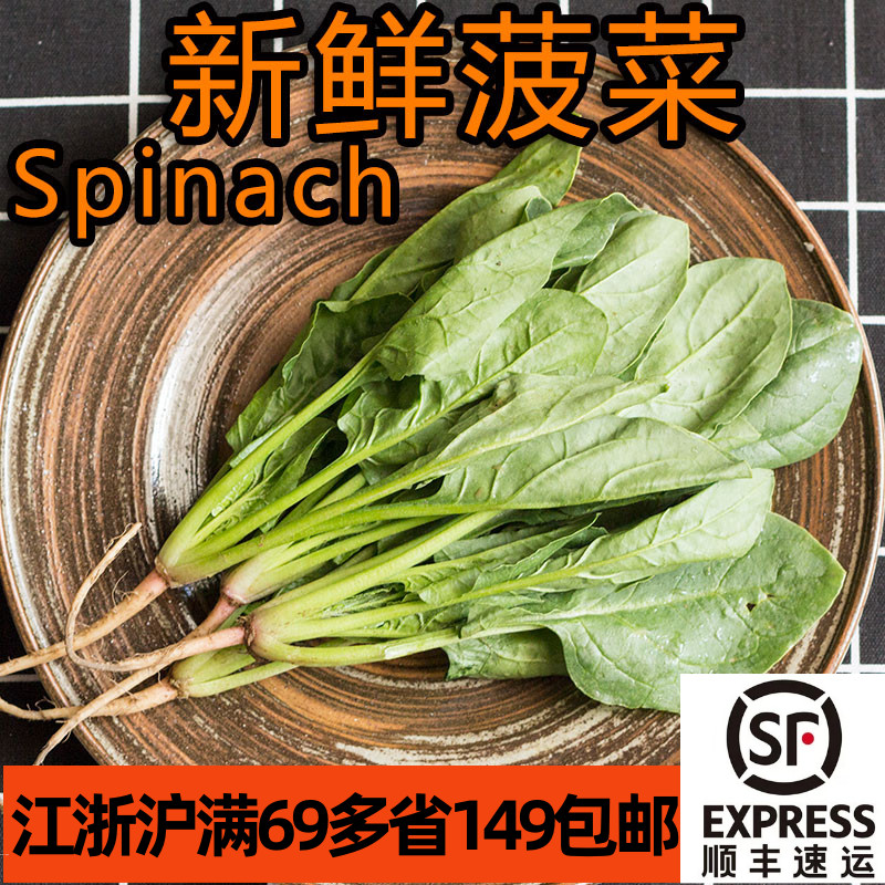 新鲜菠菜500g叶菜火锅食材包邮