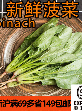 新鲜菠菜500g 叶菜 烧汤清炒火锅食材  Spinach 江浙沪满69包邮