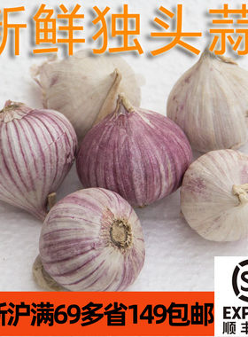 新鲜紫皮独头蒜250g 蒜头大蒜Garlic  家常食材 江浙沪满69包邮