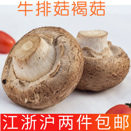 新鲜牛排菇直径8-10大蘑菇