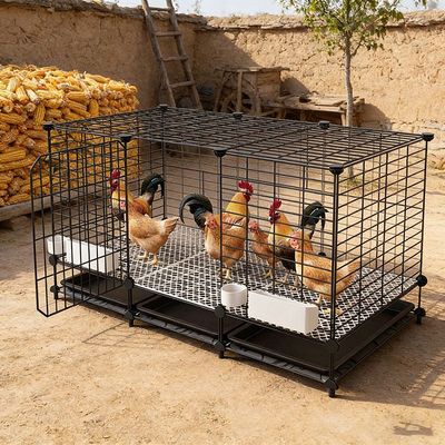 鸡笼多层三层大号鸡舍养殖笼