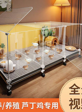 芦丁鸡饲养箱家用造景小屋