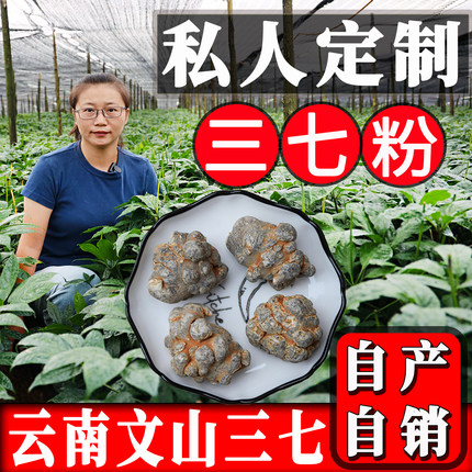 云南文山三七20头500g 汇芸七乡产地直发仿野生支持视频直播打粉