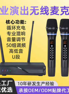 朗声M112演出ktv专用麦克风家庭会议舞台混响高低音充电无线话筒