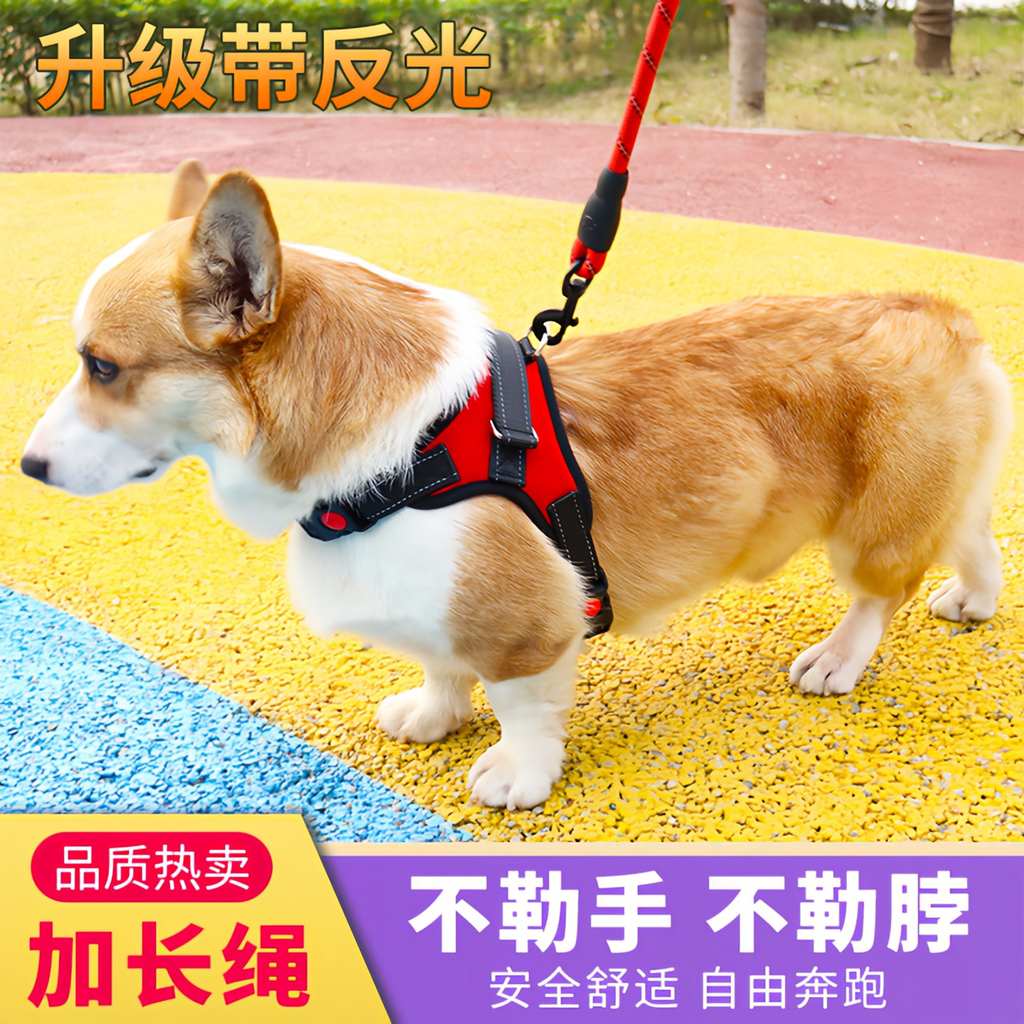 狗狗牵引绳小型中型大型犬狗链子
