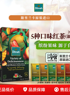迪尔玛5种口味混合水果红茶
