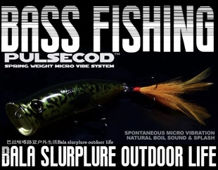 【巴拉咕嗒路亚】deps PULSECOD Poper 水面系波爬