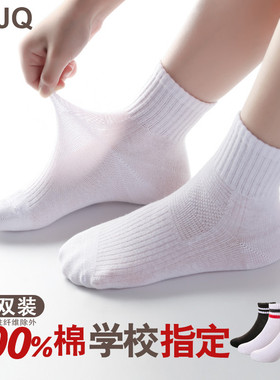 纯棉儿童夏季袜子男童白袜童袜薄款白色春秋女童防臭袜全棉学生袜