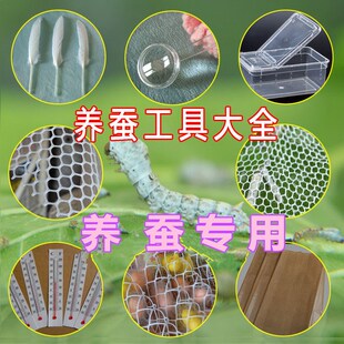 养蚕的专用工具套装饲养盒结茧网羽毛方格簇抓蚕夹齐全学生家用