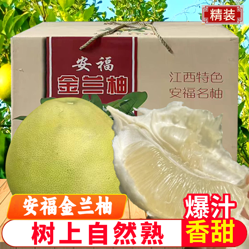 江西吉安福蚕子新鲜水果孕妇白心金兰柚井冈山甜蜜药柚子老树现摘,水产肉类/新鲜蔬果/熟食,柚子,淘宝优惠券,粉丝福利购,淘宝优惠卷